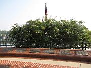 Augusta - Jul 2011 005